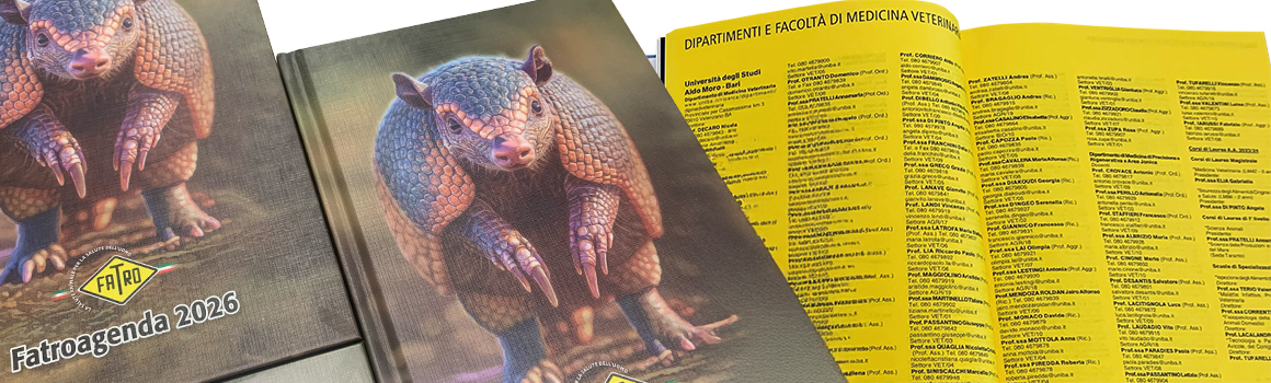 banner Fatroagenda.jpg